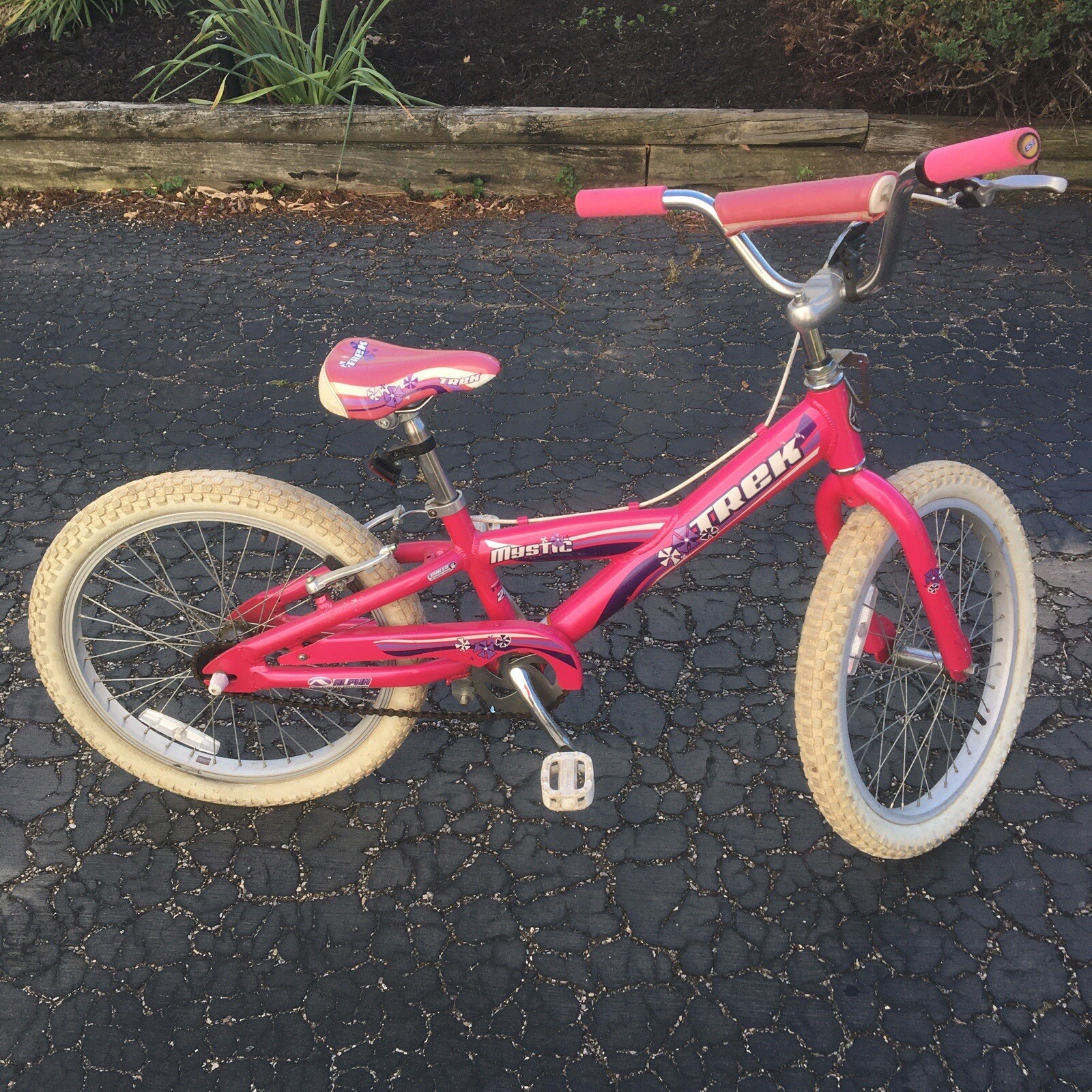 Trek Mystic 20 Inch Girls Bike Coaster 