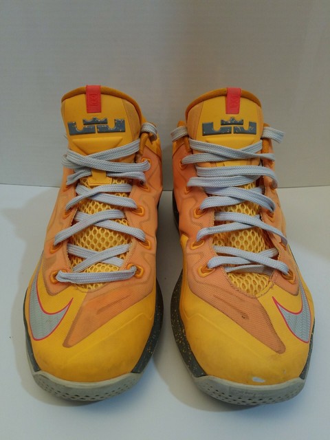 lebron 11 low floridian