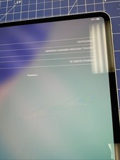 ipad pro 13 m5 256gb wifi cellular E347