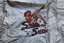 SNAP ON SUZIE TOOLBOX ROLL CAB COVER 44" SILVER