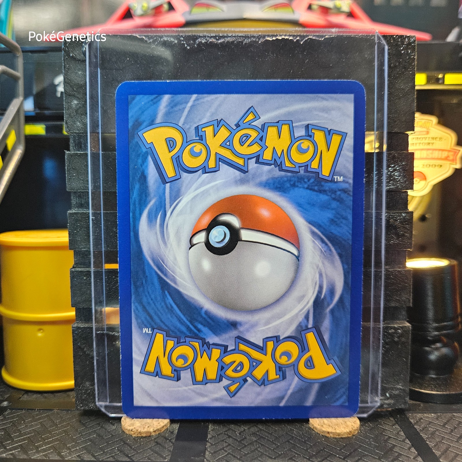 Torchic Crystal Guardians Ex Pokémon TCG 65/100 Common