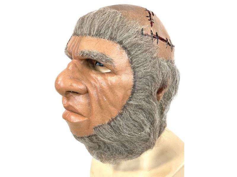Frankenstein & The Monster From Hell Mask 1974 Replica - Image 2 of 4