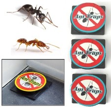 3pk/ 6pk Ant Trap Bait Stop Ants Killer Nest Station Insects Glue Outdoor Indoor