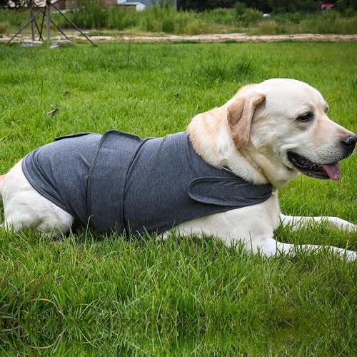 Skin-Friendly Dog Calming Vest ,Dog Anti-anxiety Jacket - Dog Shirt from Thunder - Picture 2 of 20