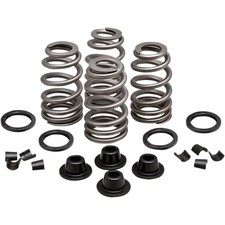 KPMI Spring Kit .660 Lift fits H-D Evolution ...