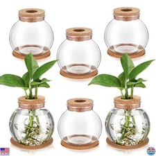 Baderke 6-Pack Hydroponic Plant Vases - Stylish Plastic Station & Cork Coasters