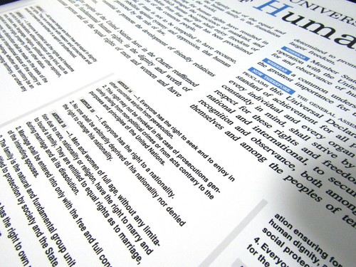 Universal Declaration of Human Rights UN Broadsheet Poster Art Print Remake - Picture 2 of 9