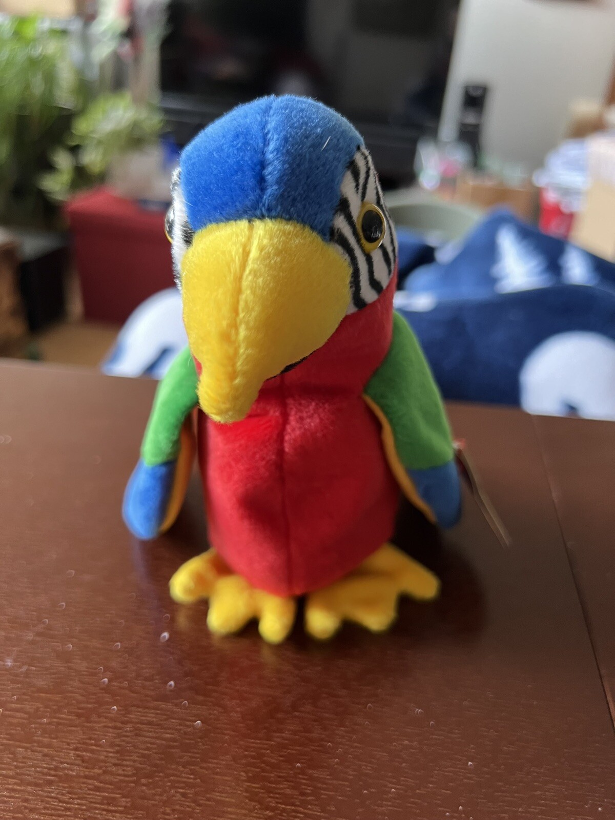 Foto 1 di 6