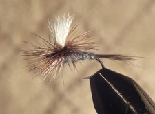Adam's Parachute Trout Fly Size 16- 1 Dozen (12)  Adams Dry Flies F738