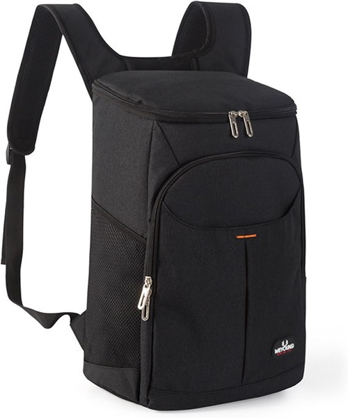 KüHlrucksack 25L Isoliert Thermo Picknicktasche FüR Strand Camping Bbq Wandern-image