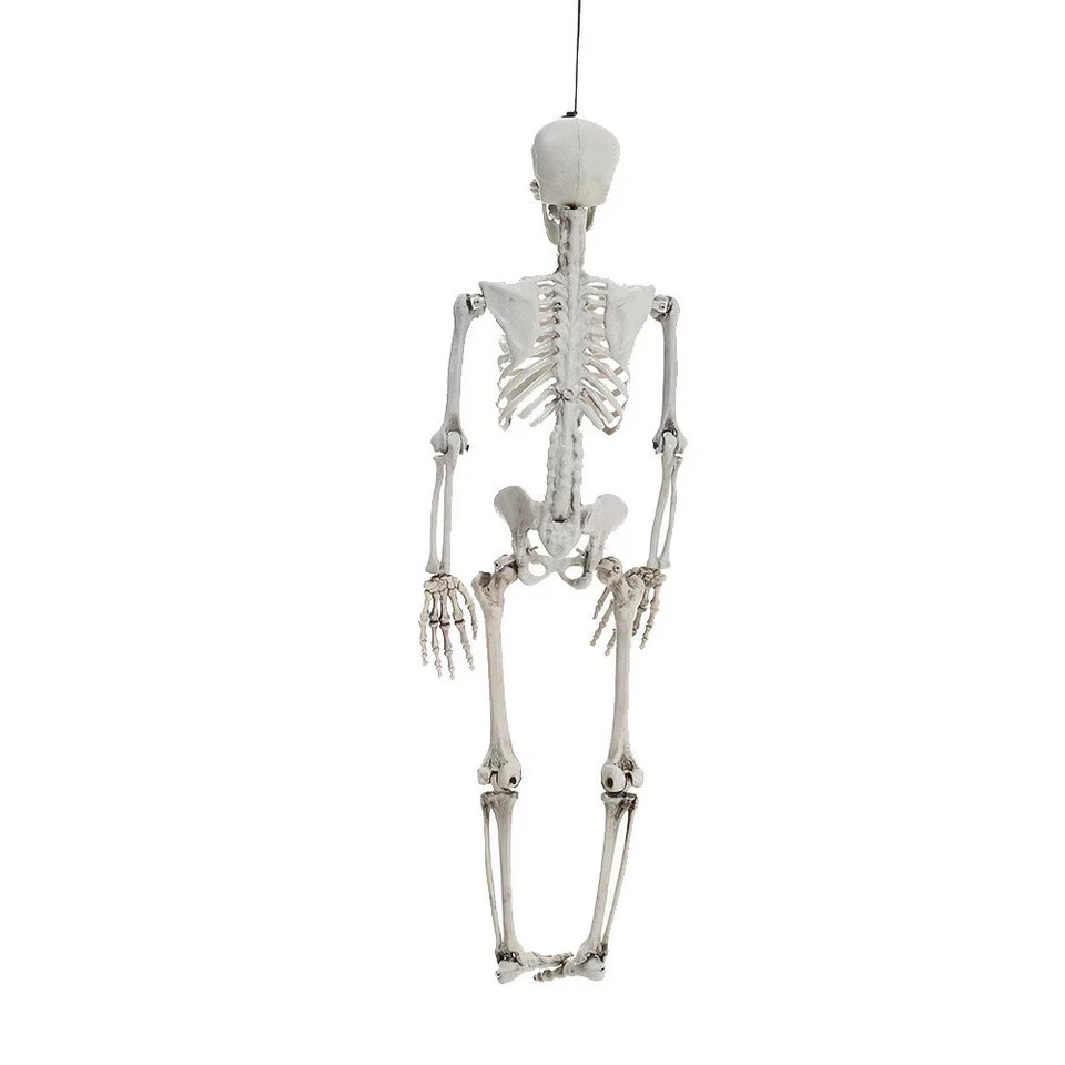Giant Life Size Human Skeleton Model Horror Bone Posable Halloween Decor 4