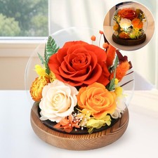 Mothers Day Gift Terracotta Preserved Roses Forever Flower Delivery Decoration