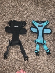 Adjustable Cat Harness Set Black And Teal