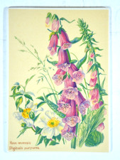 Villeroy Boch Vilbocard A55 Porcelain Card Original Box Insert Excellent Condition