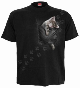 kitten it shirt