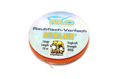 Téléchargement Wels Catfish Silurus Glanis - Foto 10