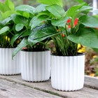 Flowerpot Plastic Planter Self-watering Plant Pot Indoor Garden Foolproof Pot