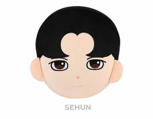 EXO SM OFFICIAL GOODS CHARACTER CUSHION + PHOTOCARD PHOTO CARD