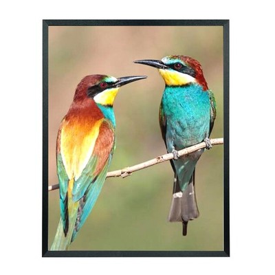 Mxtallup 19X24 Picture Frame Solid Wood Poster Frame For Wall 19X24 Photo