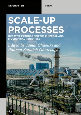 Scale-up Processes : Iterative Methods for the Chemical, Mineral and Biologic...