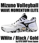 Mizuno Volleyball Shoes WAVE MOMENTUM ELITE V1GA251241 WHite / Black / Gold