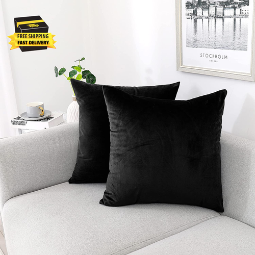 Decorative Throw Pillow Covers Pack of 2, Velvet Throw Pillow Cases for Couch Pi