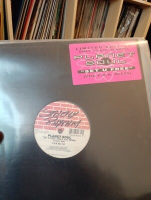 Planet Soul Set U Free The E.H.R. Mixes Vinyl 
