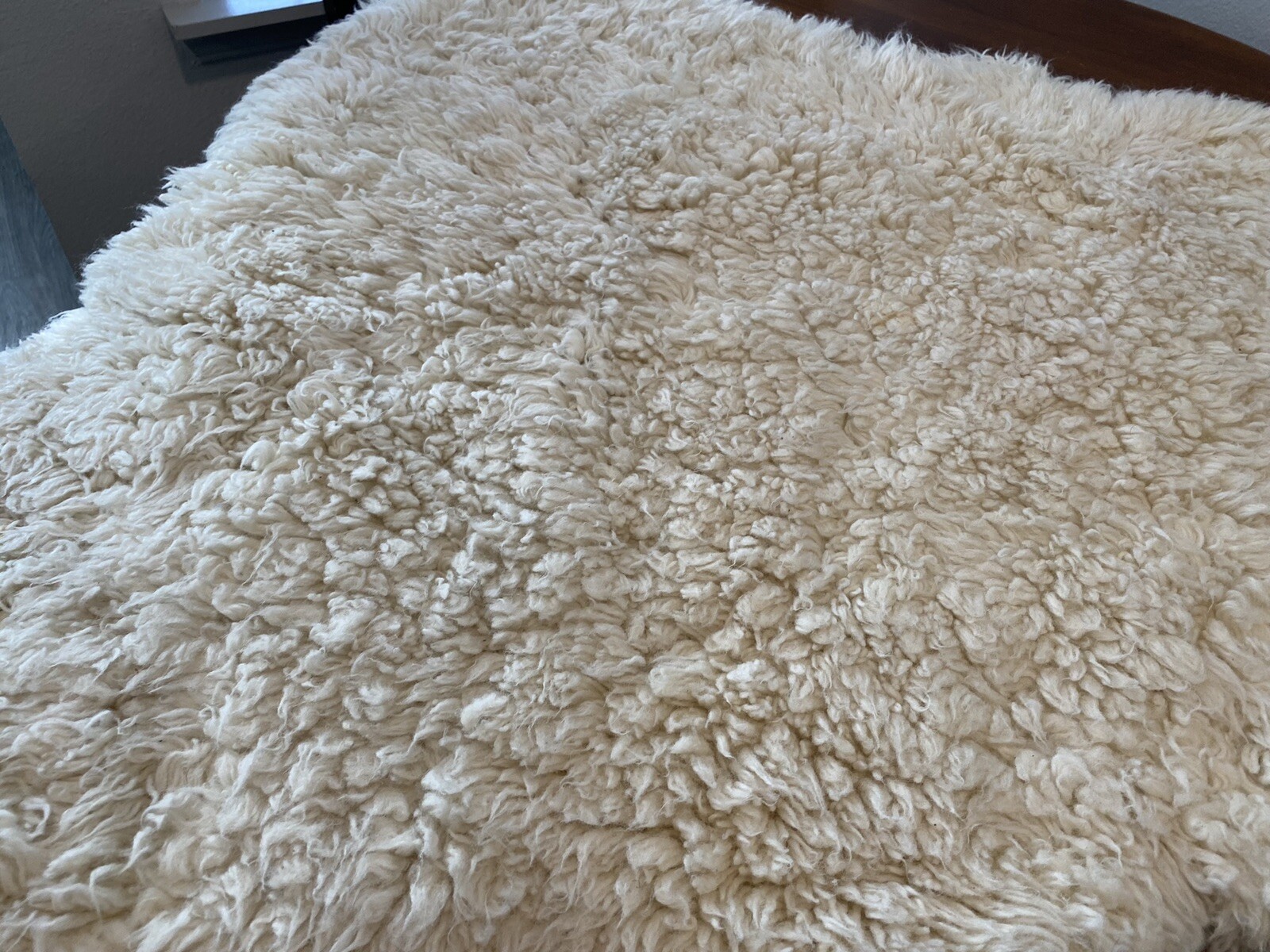 pottery barn carpet eBay