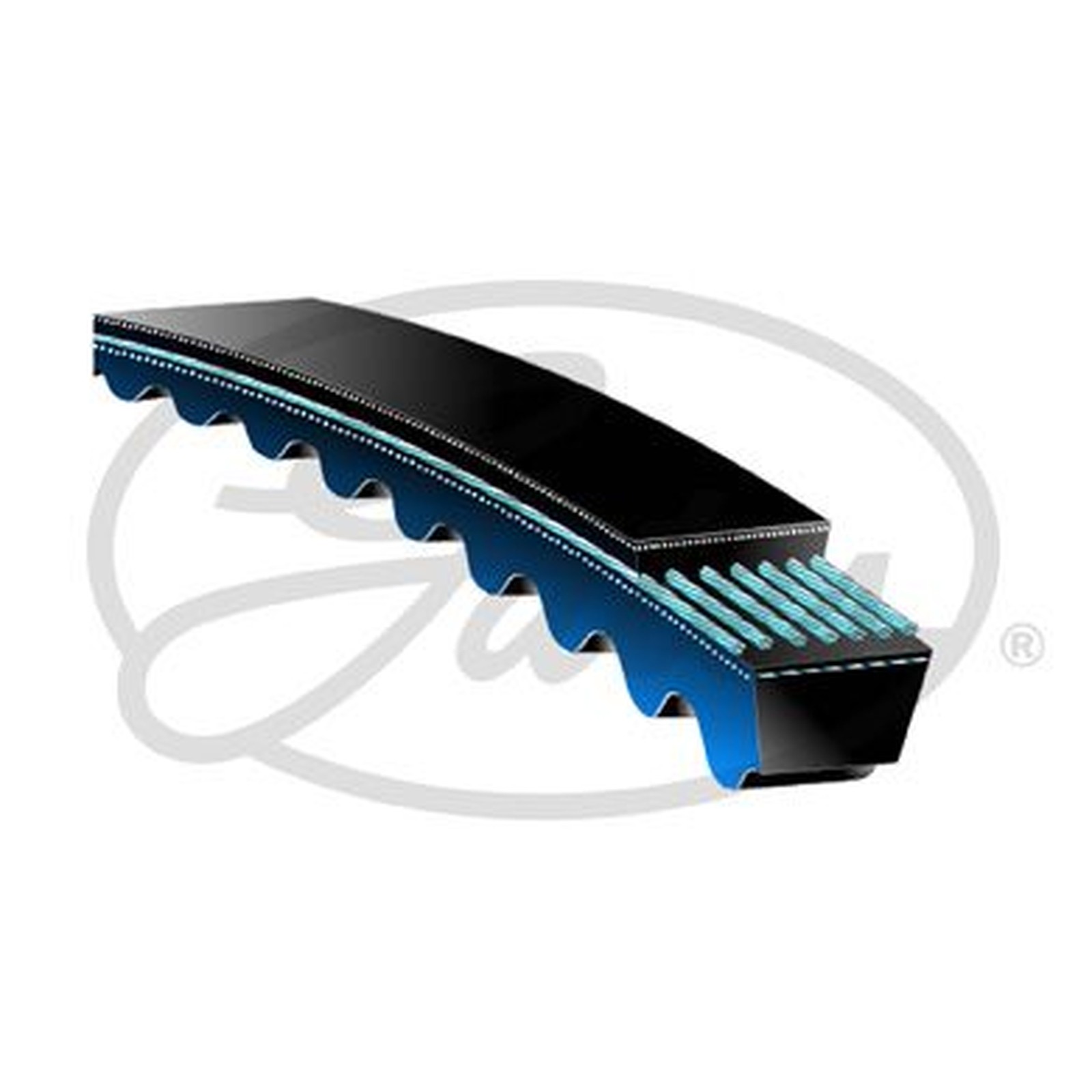 Gates V-Belt - SPB1250 - Fits Iveco - OE Matching Quality and Specification