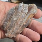 South Dakota Prairie Agate Slabs, Lot of 4, 116g, Lapidary Cabbing — photo 7
