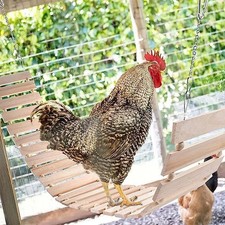 Chicken Swing Perch Chewing Bite Hammock Training Cage