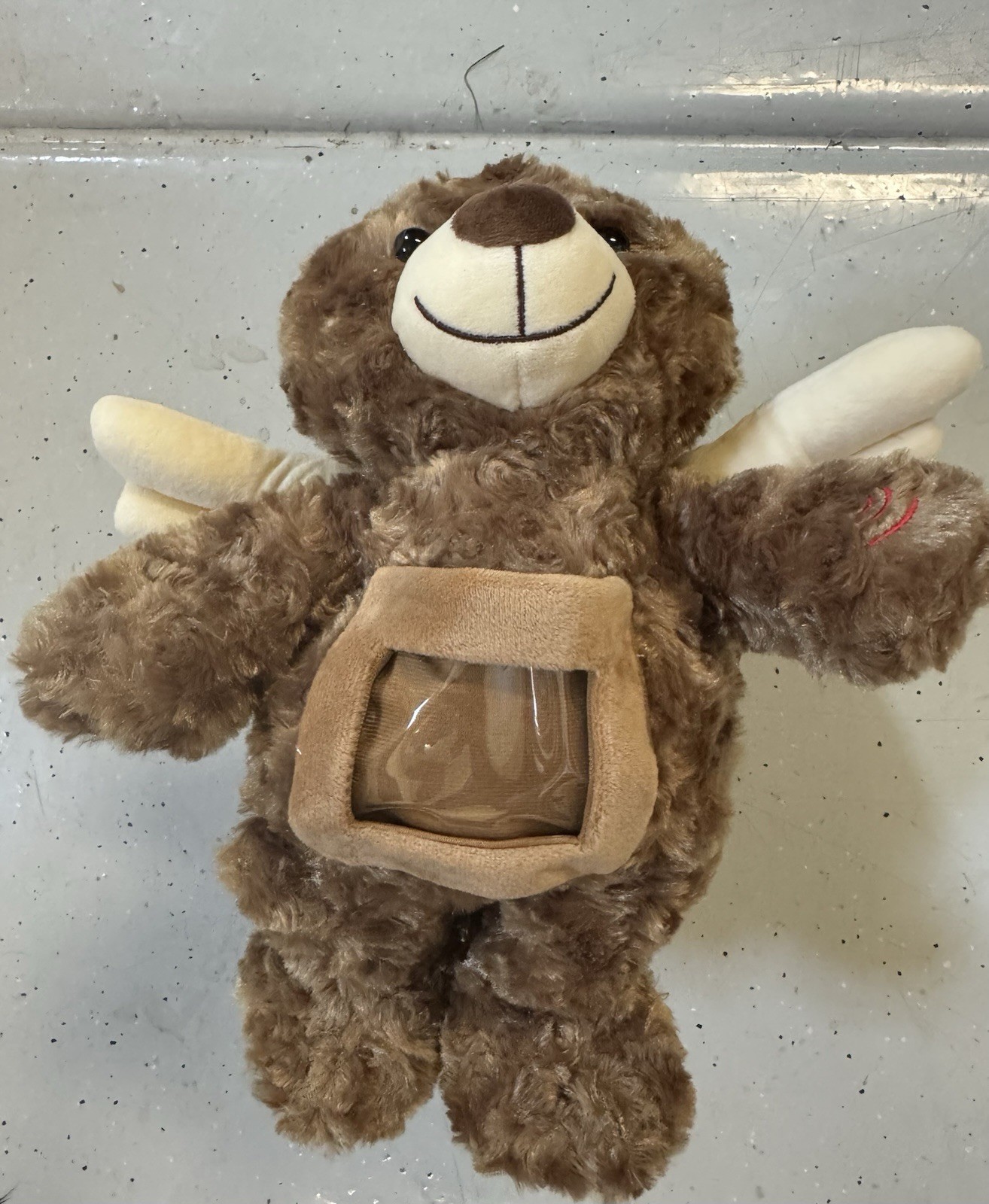 Leyndo Bear with Voice Recording Remembrance Stuffed Animal with Picture Reco