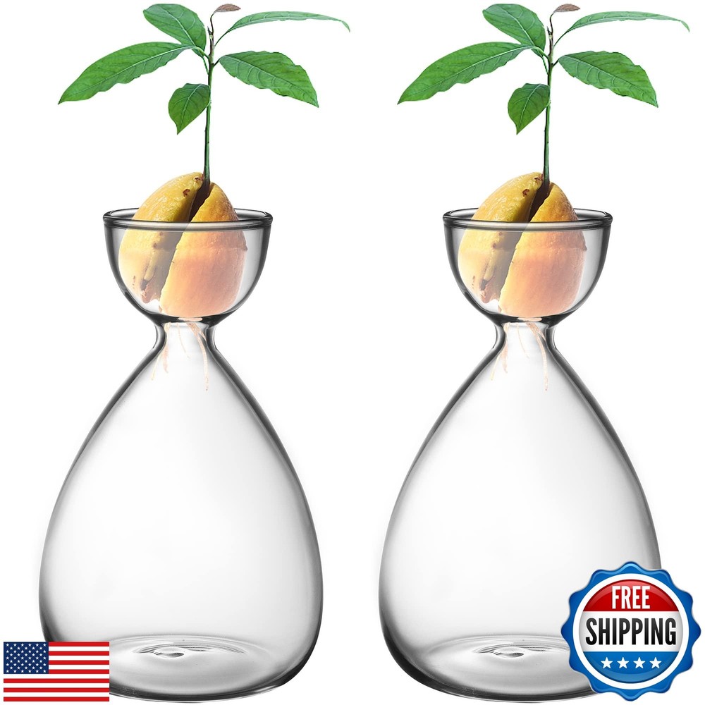2pcs Mini Avocado Seed Starter Glass Vase Kit for Growing Avocado Trees