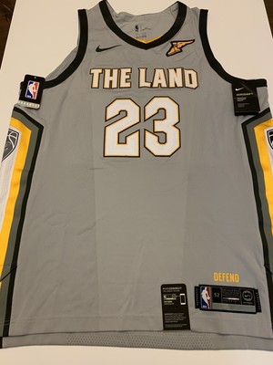lebron the land