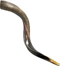 Half polished natual Judaica Kosher 24-28 Inch Yemenite Kudu Shofar horn Israel