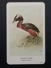General Cigar Company Trading Card - No. 7 Horned Grebe - Card 3