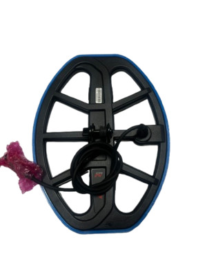 Minelab X-Terra Pro / Elite V12X Coil Bumper blau