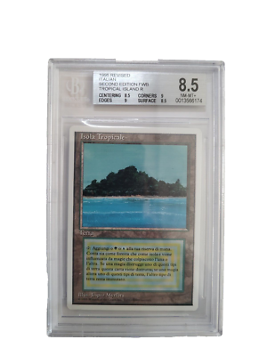 MTG Tropical Island 英語 25677_1.jpg?v=1747920662&width
