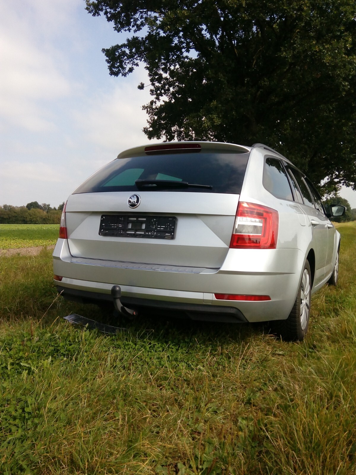 Bild 4 von 24