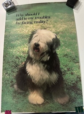 Vintage Argus Product Novelty Poster - Sheep Dog, Funny 1982 21''x14'' Paper