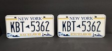 New York Plates KBT-5362 Excelsior Statue of Liberty NYC Skyline Niagara Falls