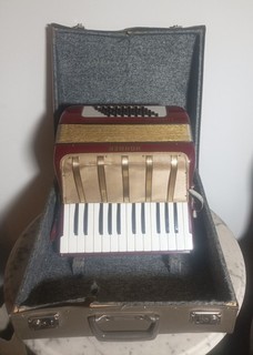 Akkorderon Hohner Starlet 40