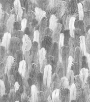 Rasch Tapete African Queen 473308 Grau, Silber, Schwarz Federn Vliestapete Vlies