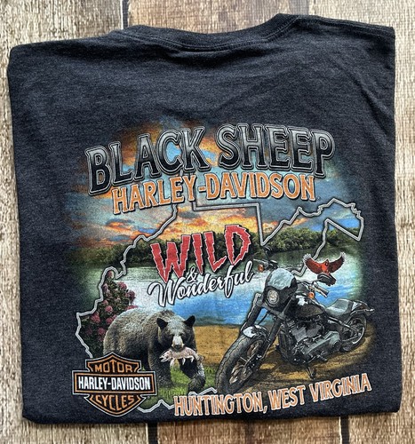 HARLEY DAVIDSON BRAVADO WILD WONDERFUL WEST VIRGINIA T-SHIRT GRAY MENX XXXL 3XL