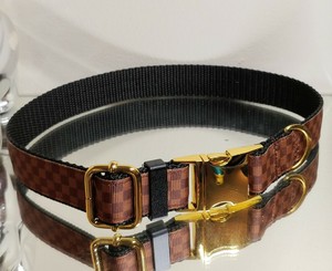 gucci dog collar ebay