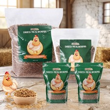 Bulk Dried Mealworms Non-GMO for Wild Birds Food Blue Bird Chicken Hen Treat LOT