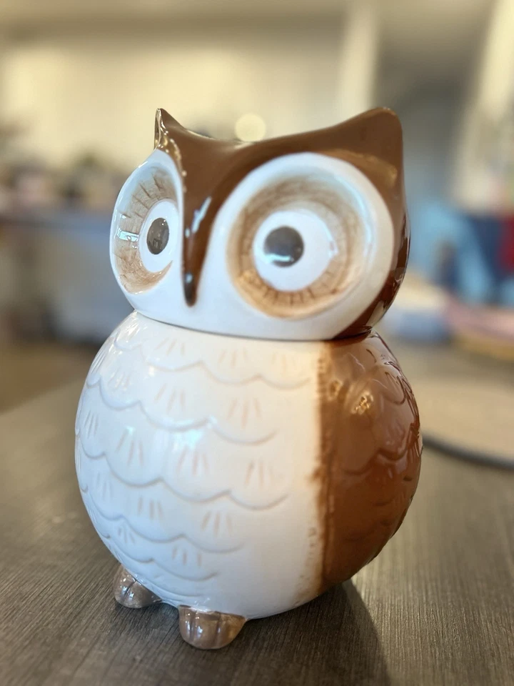 Tarro de galletas World Market Owl 8”T 5”W marrón blanco arte cerámica utensilios de cocina Foto 2 de 4