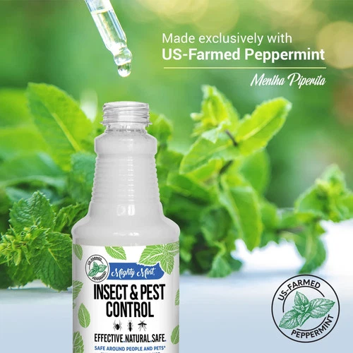 Mighty Mint Insect & Pest Control Spray - Thumbnail 2