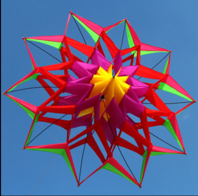 3D LOTUS FLOWER 54'' KITE SINGLE LINE OUTDOOR TOY FLYING FOR KIDS SPORT DISCONTI
