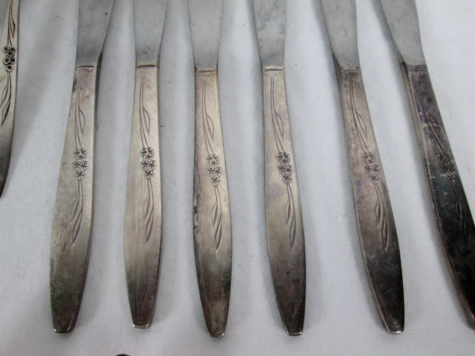 59 piezas Cubiertos vintage Oneida Community plateados (enchantment Gentle Rose) Foto 2 de 4